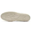 Chuck 70 EquinOX Low Top en Mason/Egret