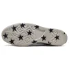 Chuck 70 Low «Archival Stars Print»