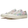 Chuck 70 «Palm Print»