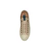 Chuck Taylor All Star «Beige Brown»