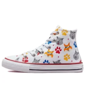 Chuck Taylor All Star «Blanco Gris»