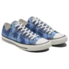 Chuck Taylor All Star «Blue Sunset Palm»