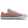 Chuck Taylor All Star «Canyon Dust»