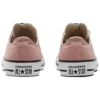 Chuck Taylor All Star «Canyon Dust»