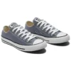 Chuck Taylor All Star «Gray White»