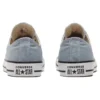 Chuck Taylor All Star «Grayblue White»