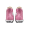 Chuck Taylor All Star High «Magic Flamingo»