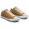 Chuck Taylor All Star Low «Burnt Honey»