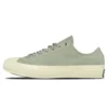 Chuck Taylor All Star Low «Surplus Sage»