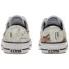 Chuck Taylor All Star Pro «White Leaves»