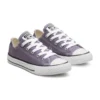 Chuck Taylor All Star Seasonal Low Top «Purple White»