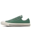 Chuck Taylor All Star SLIP III OX «Green White»