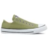 Chuck Taylor All Star Slip Low «Street Sage»