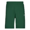 Pantalones cortos de felpa de corte estándar con estrella bordada y diseño en forma de V – Tallas asiáticas – «Verde»