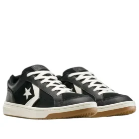 Pro Blaze Classic Low «Black Egret Dark Matter»