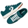 Pro Blaze Classic Low «Darkly Jaded»