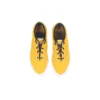 Skidgrip CVO «Gold Dart»