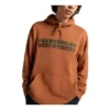 Sudadera con capucha Chuck Taylor All Star Logo Namesake, tallas asiáticas, «Khaki»